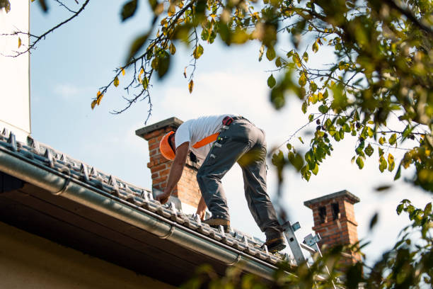 Best Storm Damage Roof Repair  in Town Creek, AL