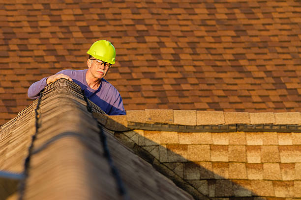 Best Roof Gutter Cleaning  in Town Creek, AL