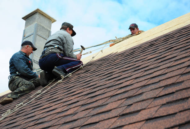 Best Best Roofing Contractors  in Town Creek, AL